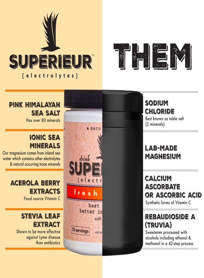 Superieur Electrolytes – Plant Based Electrolyte Supplement w/Sea Minerals for Hydration & Recovery – Keto Friendly, Non-GMO, Zero Sugar, Vegan Healthy Sports Drink Powder – Citrus (70 Servings) - Image 2
